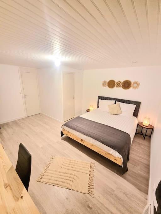 Appartement Neuf Rive-de-Gier Zewnętrze zdjęcie